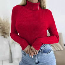 Basic Layer Turtleneck Knit Top