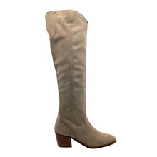 Izzy Suede Tall Boots