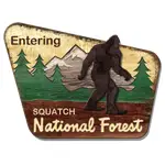 Squatch National Forest Wall Plaque