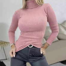 Turtleneck Knit Sweater