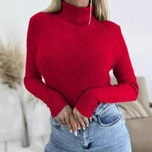 Turtleneck Knit Sweater
