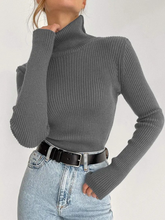 Turtleneck Knit Sweater