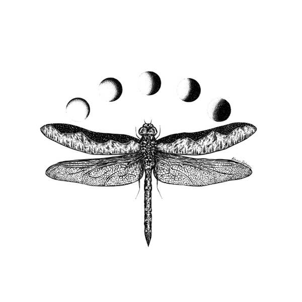 The Dragon Fly Art Print