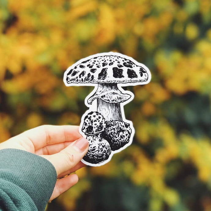 The Mushroom I Vinyl Sticker